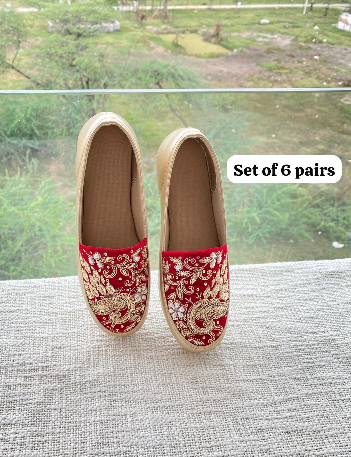Embroidered Shoe