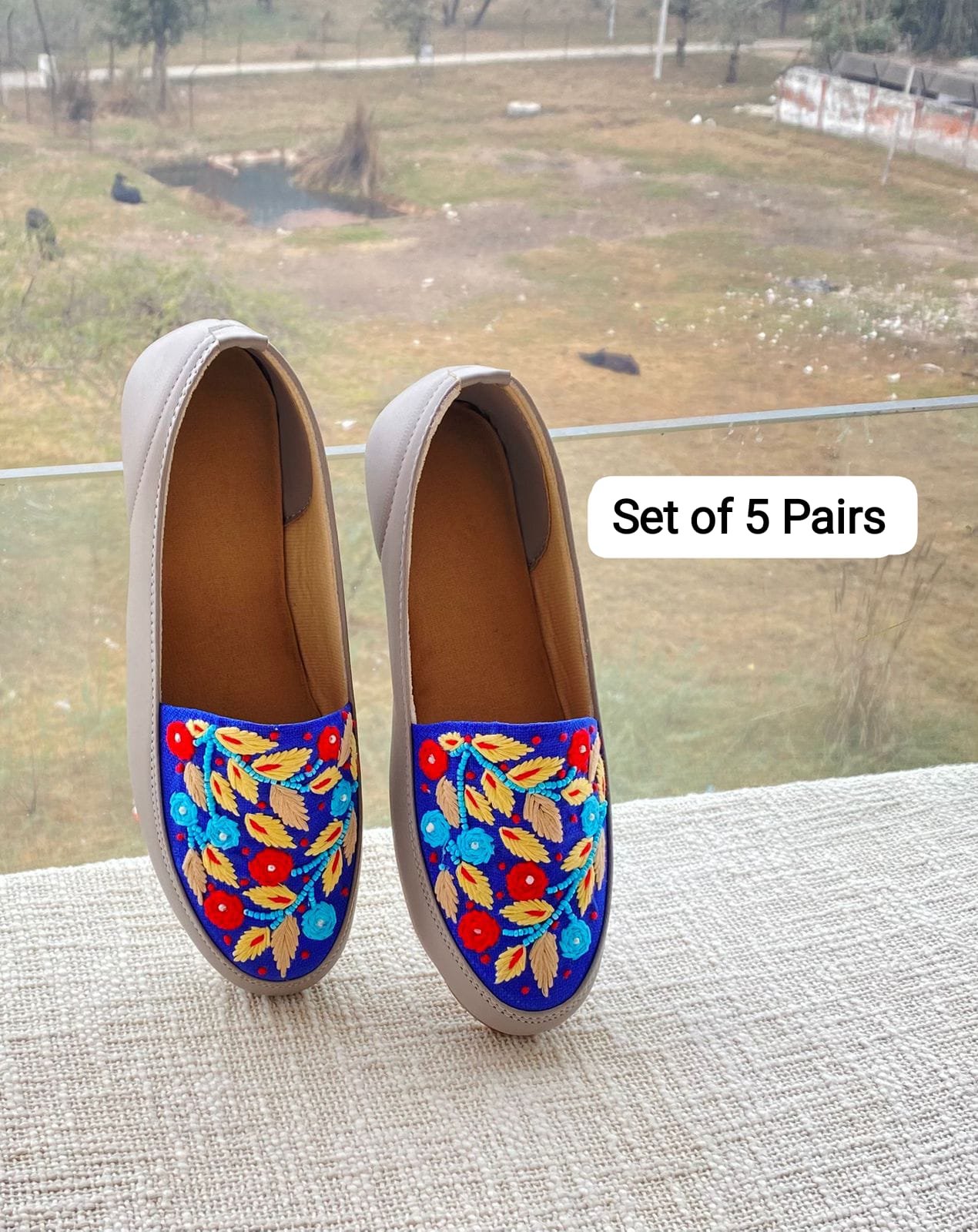Embroidered Shoe
