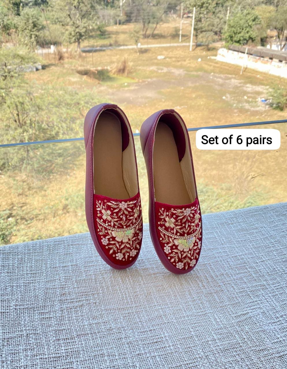 Embroidered Shoe