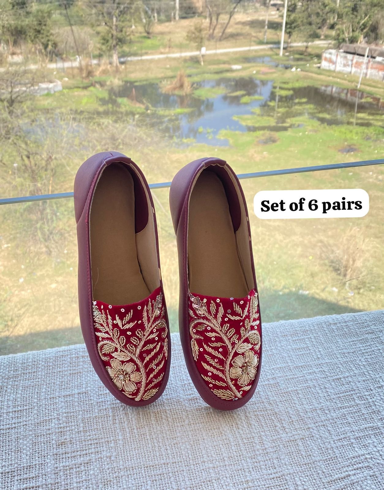 Embroidered Shoe