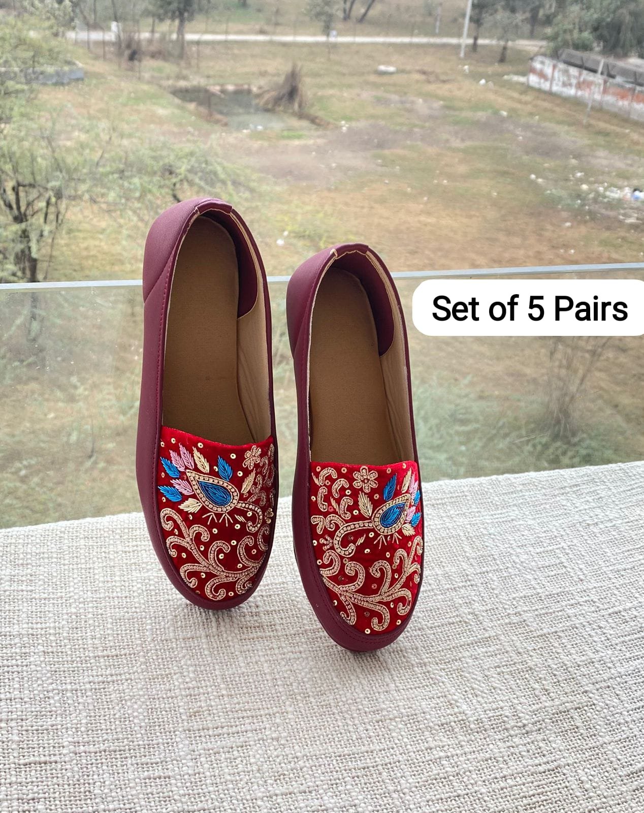 Embroidered Shoe