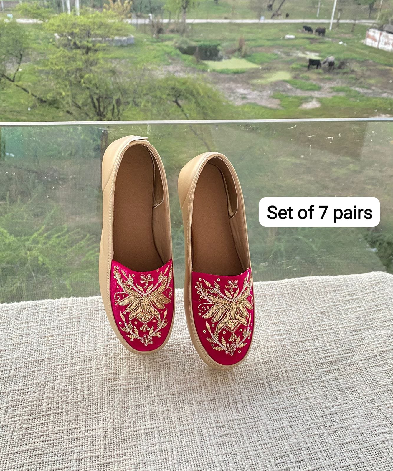 Embroidered Shoe