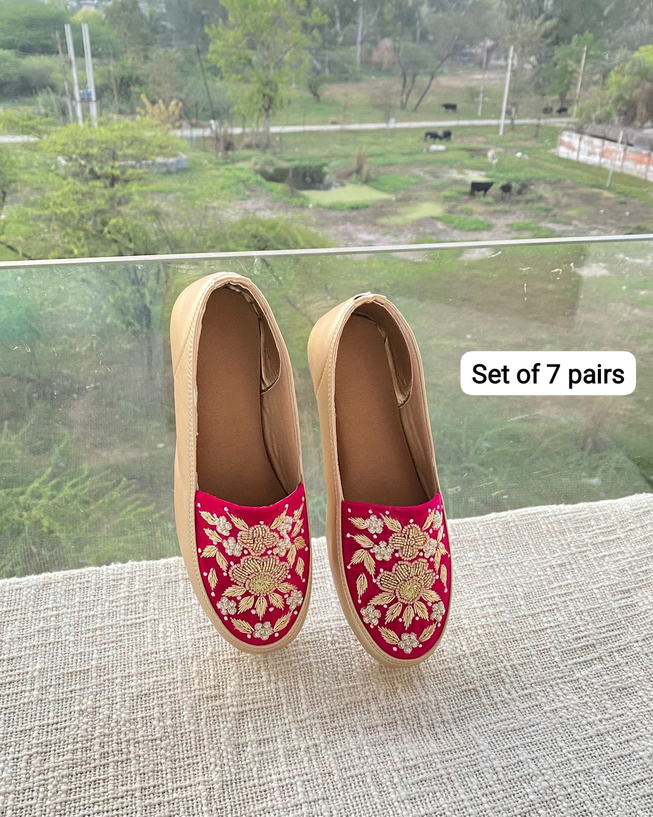 Embroidered Shoe