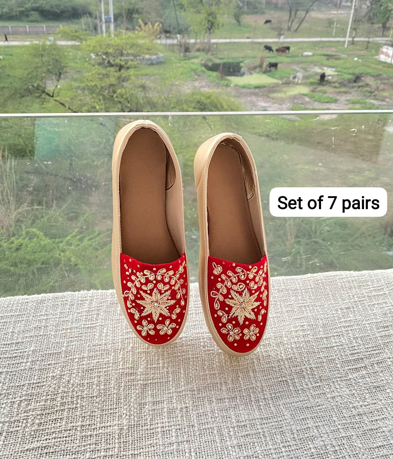Embroidered Shoe