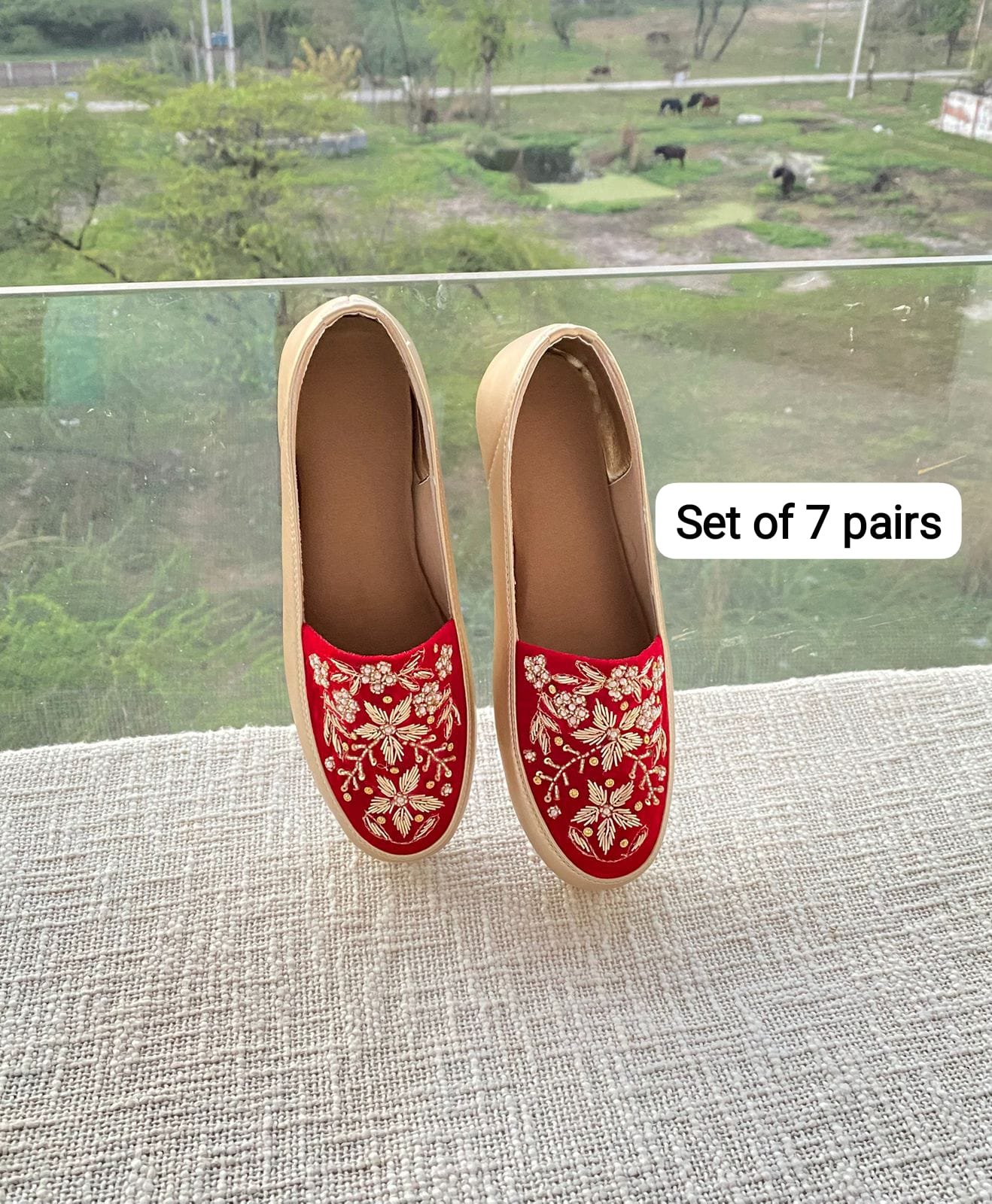Embroidered Shoe
