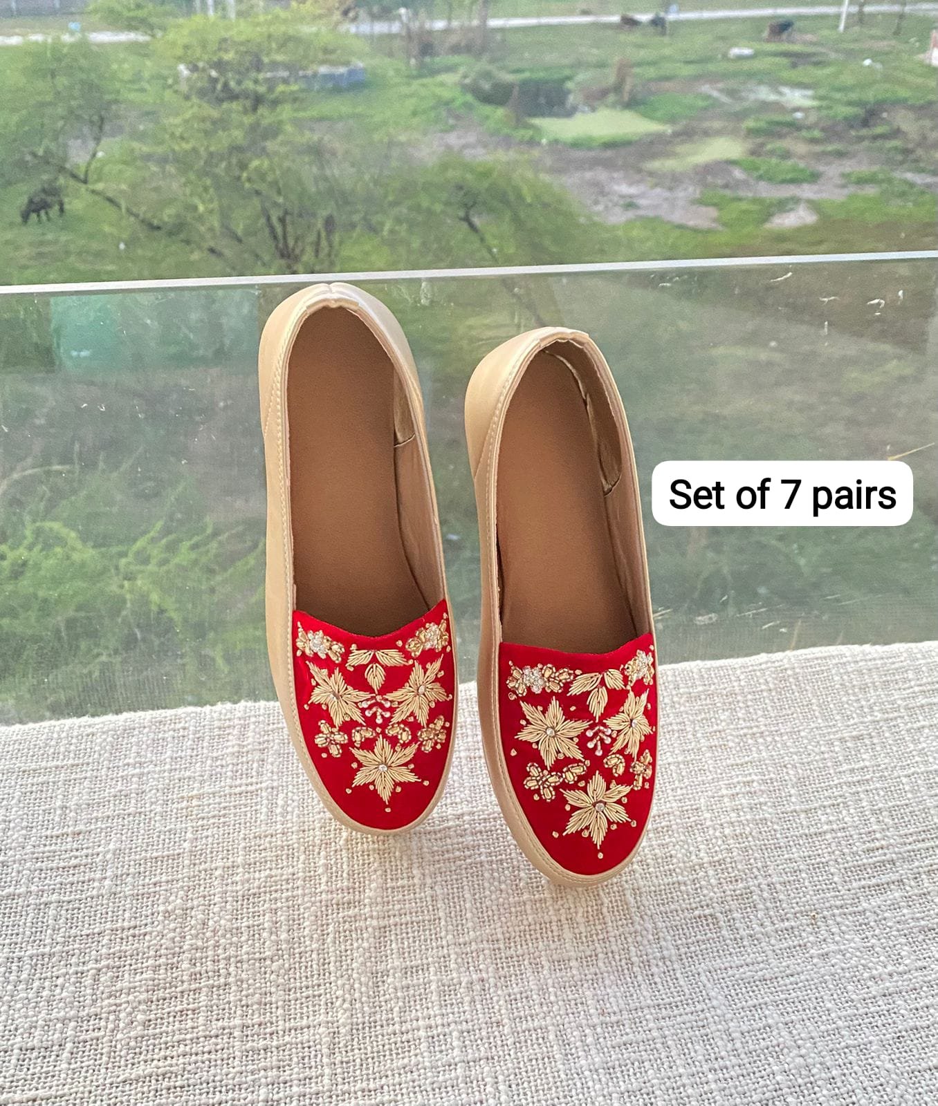 Embroidered Shoe
