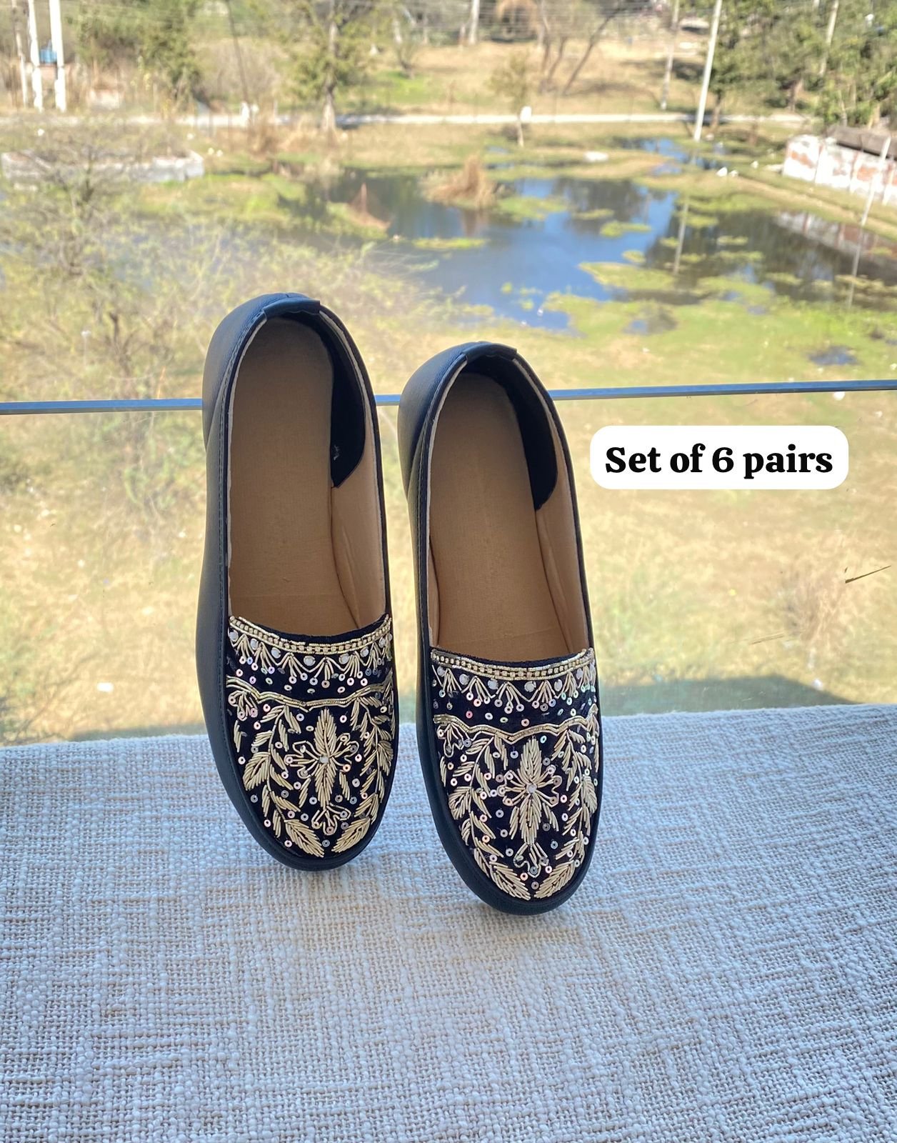 Embroidered Shoe