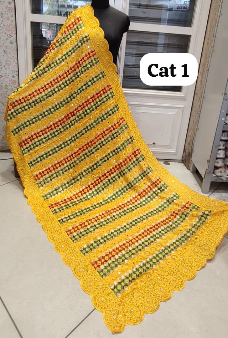 Phulkari Duppata #850